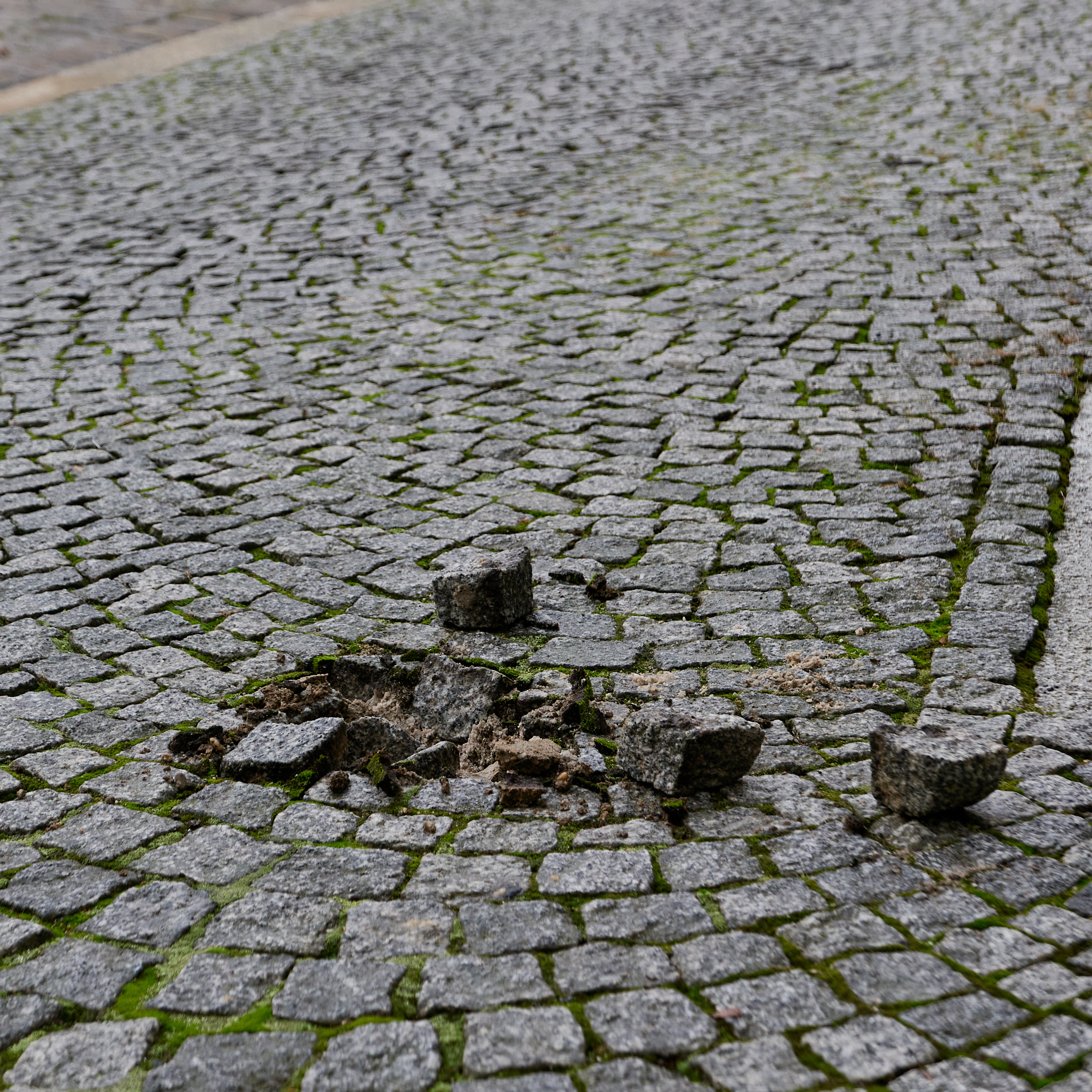 Stadtwanderung zu zehn Zeitzer herausgebrochenen Stolpersteinen